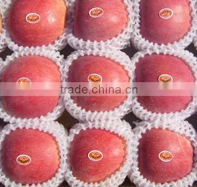 FUJI APPLE