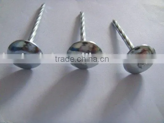 Roofing Nails