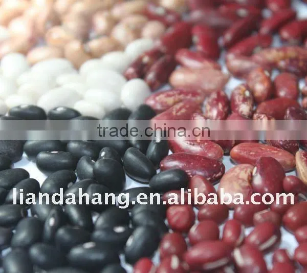 Black Kidney Beans, Black Beans