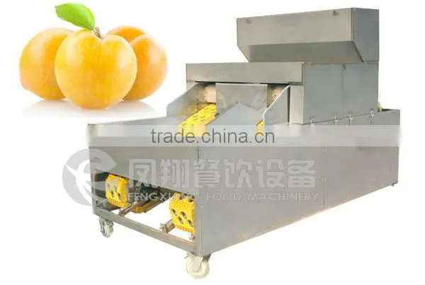 High Quality Plum Stoner, Plum Pitter, Plum Corer With CE Certificated photo-6