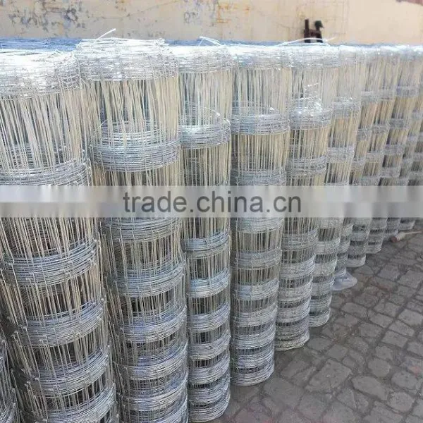 Grassland Field Fence/ Hot Galvanzied Hinge Joint Knotted Animal Field Fencing Factory photo-5