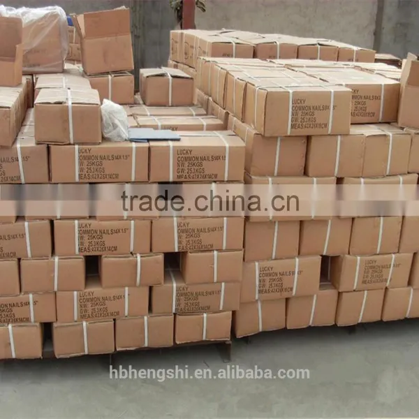 Various Specification Nail/smooth Nail/common Wire Nail photo-5