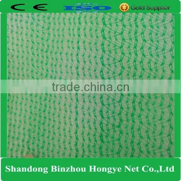 Hongye High Quality 90g PE Green Construction Safety Net photo-2