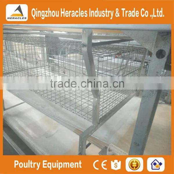 Heracles Trade Assurance Poultry Farming Equipment Layer Chicken Cage for Sale in Philippines photo-5