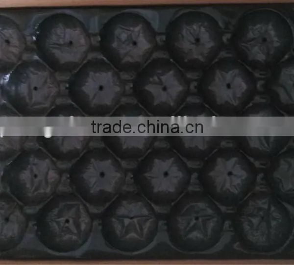 China Supplier SGS Square PP Tray photo-5