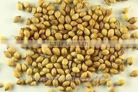 Coriander Seed Whole