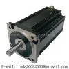 Brushless DC Motor (1100W)