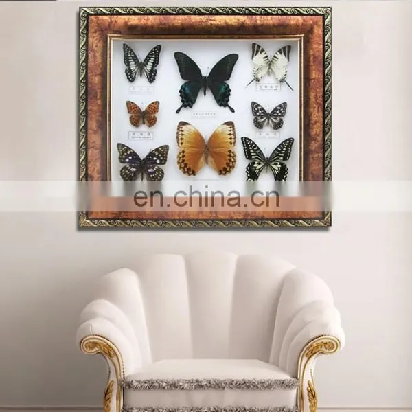 Butterfly in Wooden Frame for Collection and Gifts