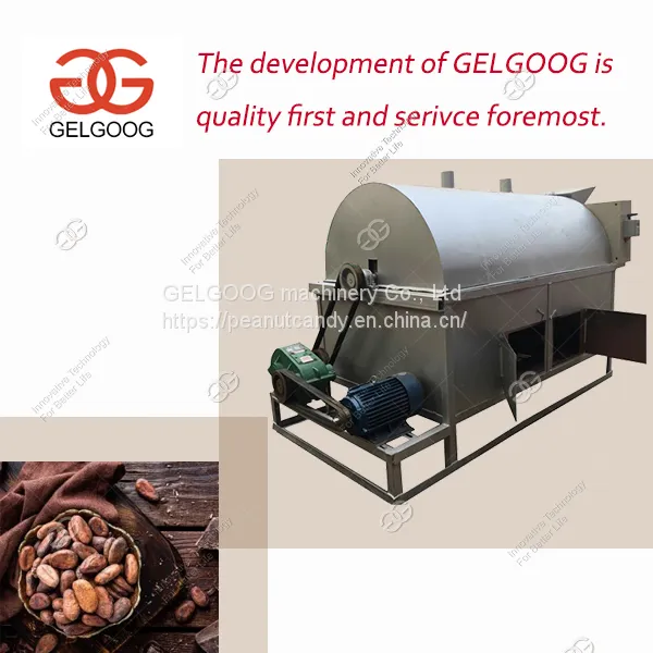 Gas|Electric Heating Cocoa Bean Roaster Machine Best Manufacturer in China photo-2