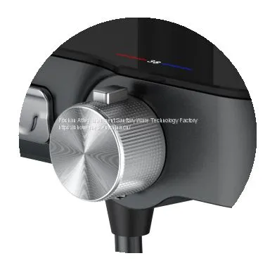 Black Colour Metal Case PPA Water Way Thermostatic Shower System photo-5