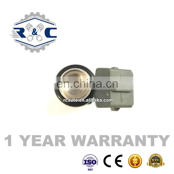 R&C High Quality Injection Iwp024 50100702 0269980312 for Volkswagen VW Gol Parati Santana Professional Tested Fuel Inyector photo-5