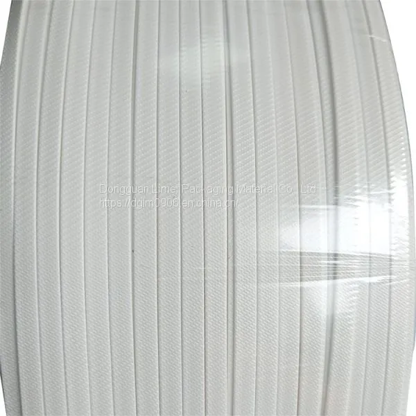Professional 3mm Full Plastic Face Nose Bridge Wire