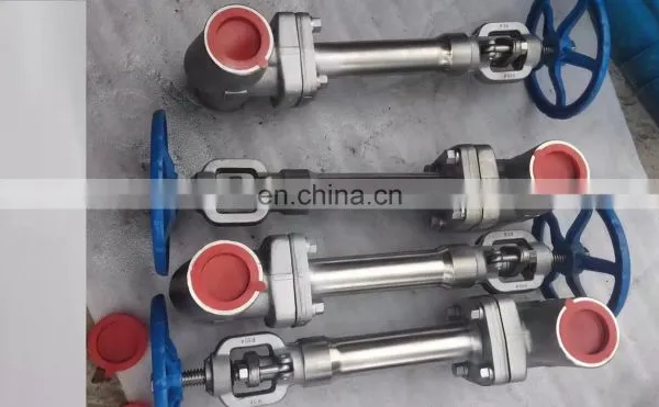 Cryogenic Oxyogen Liquid Used Extension Globe Valve Globe Valves for Water Oil Gas Flanges End LF2 Materials photo-5