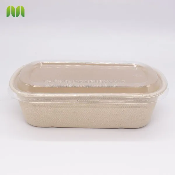 New Hot Disposable Biodegradable Single Compartment Salad Box Bagasse Food Box Take Away Sugarcane Container photo-4