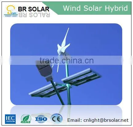 Professional Manufacuturer 5 Years Warranty Wind Solar Hybrid Power System photo-5