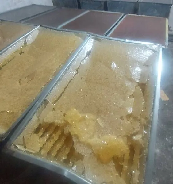 Factory Supply Sugar Processing Equipment in Rock Candy Production photo-2