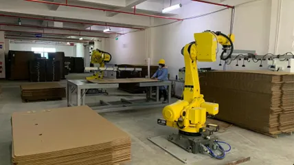 Packaging Robot