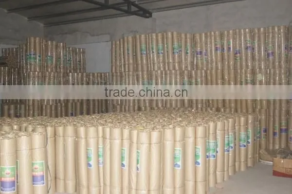 Galvanized Welded Wire Mesh/ Low Price Welded Wire Mesh