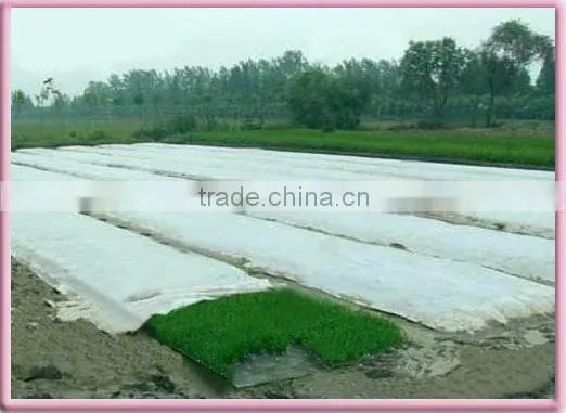 Non-woven Frost Protection Fleece Factory