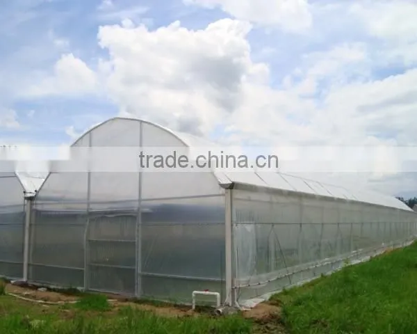 High Quality Plastic Greenhouse Film With Different Specification photo-2