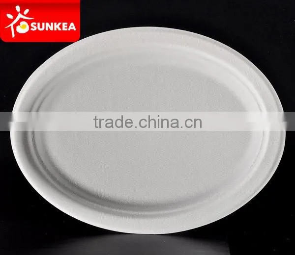 Biodegradable Disposable Bamboo Pulp Round Food Plate Quality Choice photo-6