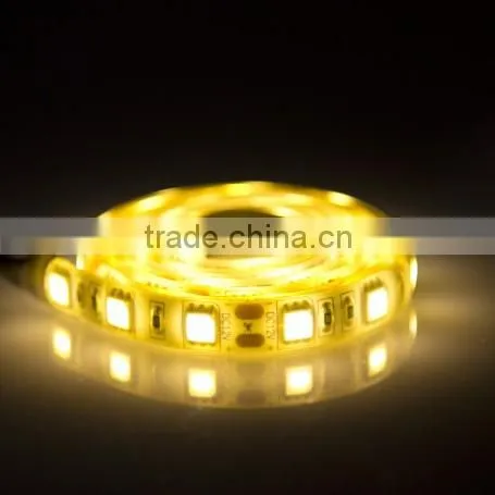 SDSLED LED Flexible Strip IP65 Strip Light 5050 60LED/m Warm White Strip-White DC12V photo-2