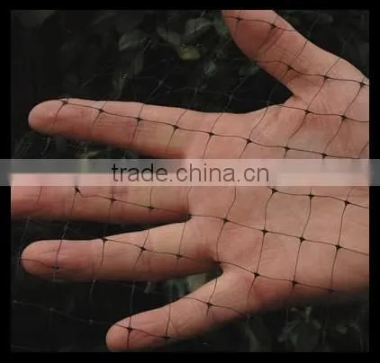 Square Bird Control Netting photo-3