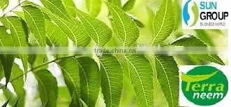 Pure Natural Neem Oil photo-4