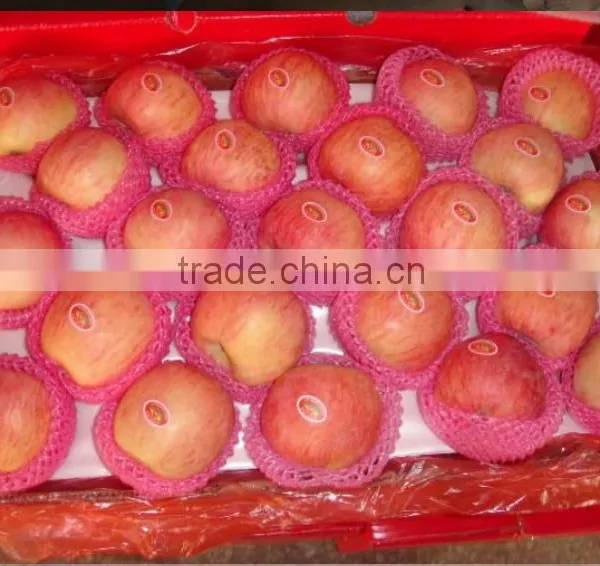 Yantai Red Fuji Apple photo-2