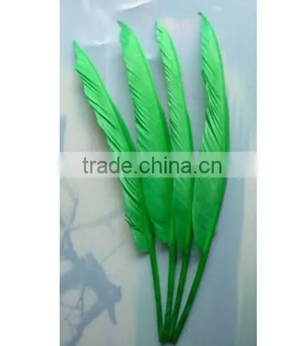 Natural Humpback Feathers 30-40cm 12-16inches photo-2