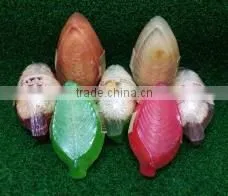 Glycerin Loofah Spa Soap in Thailand