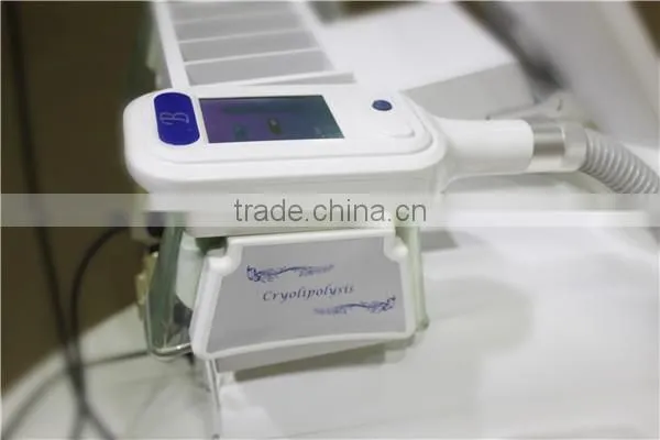 Cryo Electroporation Slimming Machine photo-3
