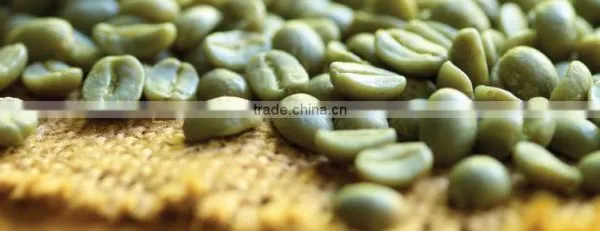 Tanzania Washed Arabica
