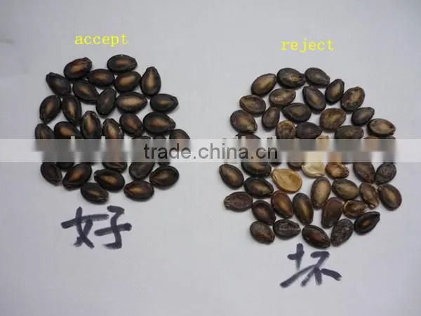 5000+pixel 2016 Pepper Color Sorter With Fast Detection and High Identification Rate,pepper Grading Machine photo-6