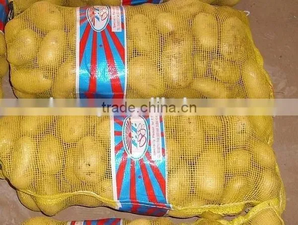2015 Holland Potato Farms From Shandong Province Export to Dubai photo-6