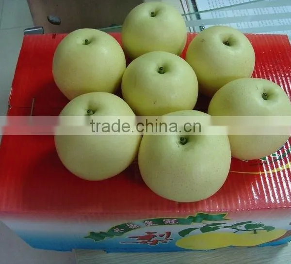 Nice Difference Specification of Crown Pear in China photo-2