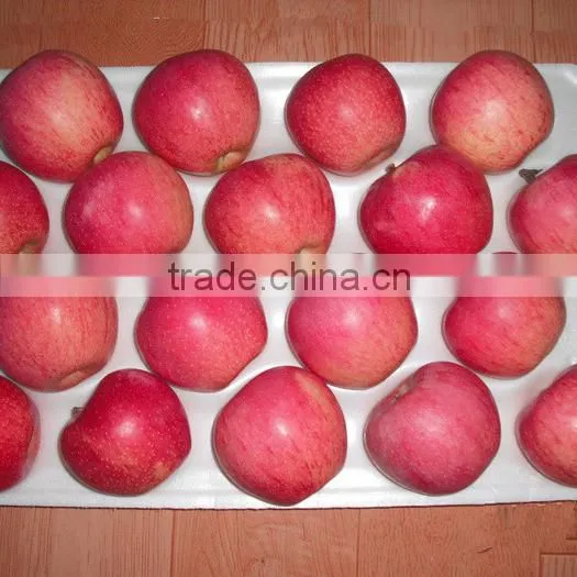 New Arrival Chinese Fresh Red Apple Red Qinguan Apple With Best Price