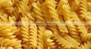 Macaroni photo-3