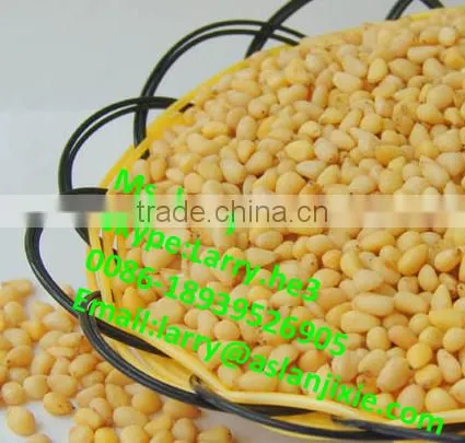 Pine Cone Peeler Machine/pine Cone Skin Peeling Machine/automatic Pine Cone Peeler photo-5