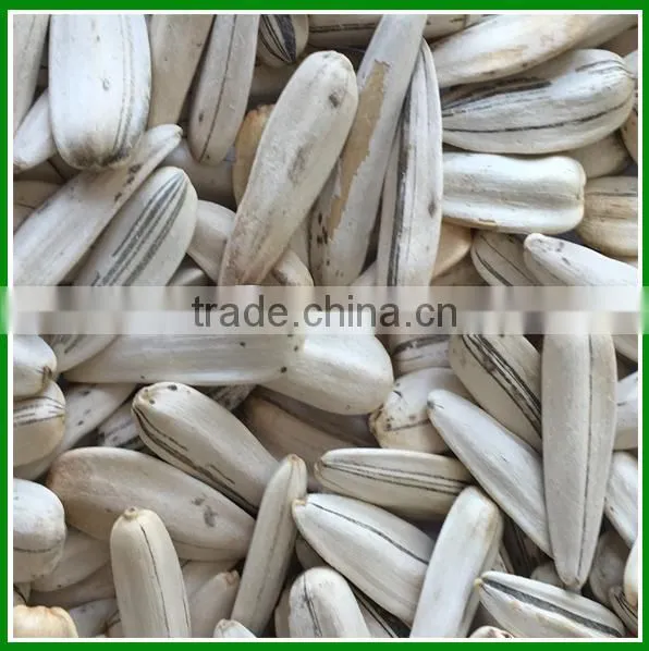 Roasted and Spiced Cheap White Sunflower Seeds With Best Quality for Sale photo-4