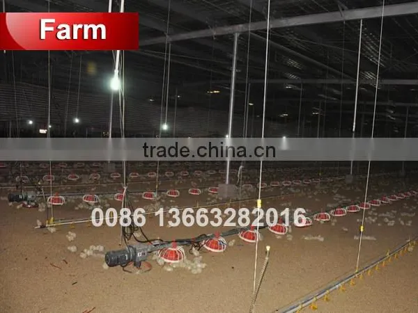 TA NO.1 Reduction Sale Galvanized and Quality Fittings Growing Broiler Chicken Cage photo-5
