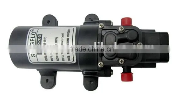 Singflo 12v/24v DC Auto High Pressure Switch Mini Garden Water Pump photo-2