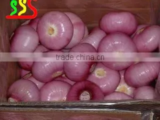 2015 Good Type Industrial Onion Peeling Machine photo-2