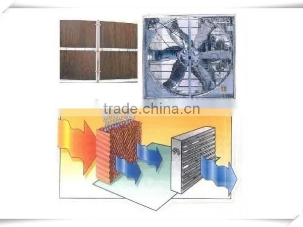 Evaporative Cellulose Paper Wet Pad Cooling System for Greenhouse photo-4