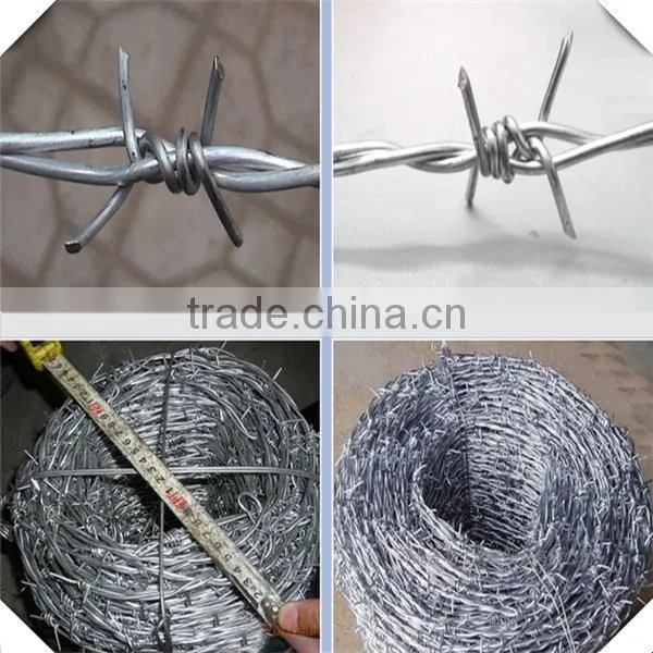 High Quality Galvanized Barbed Wire Factory / Barbed Wire Price photo-6