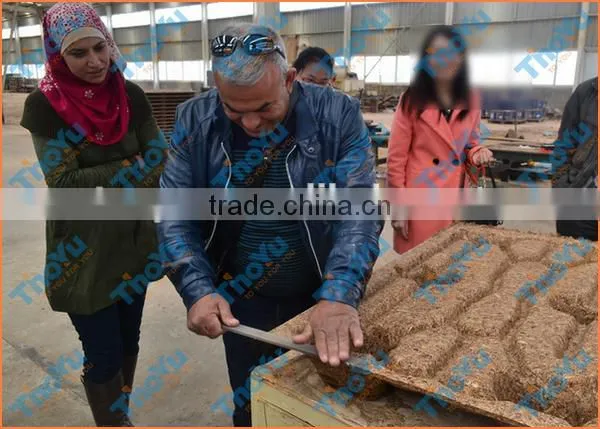 Hot Press Wooden Pallet Moulding Pallet Wood Machine for Sale photo-3
