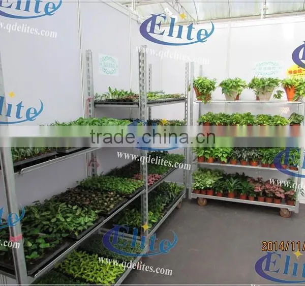 251Seedling Trolleys photo-3