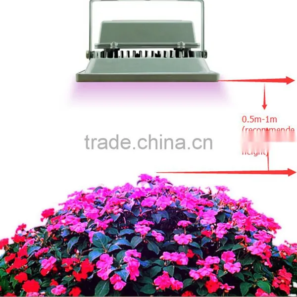 2017 Greenhouse Led Light High Intensity & Red Blue Colour for Supplemental Lighting photo-5
