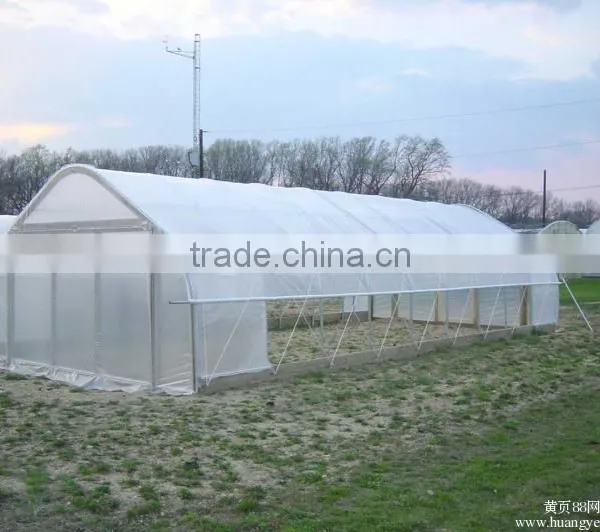 Simple Structure Tunnel Greenhouse For Vegetables/Flowers/Fruits photo-2