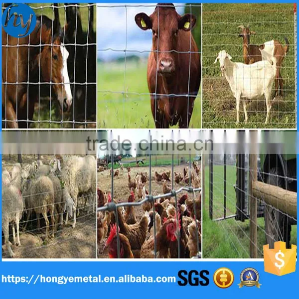 Welded Wire Mesh Prices/welded Wiremesh Export Abroad photo-3